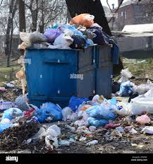 Best Hoarding Cleanup  in Estero, FL